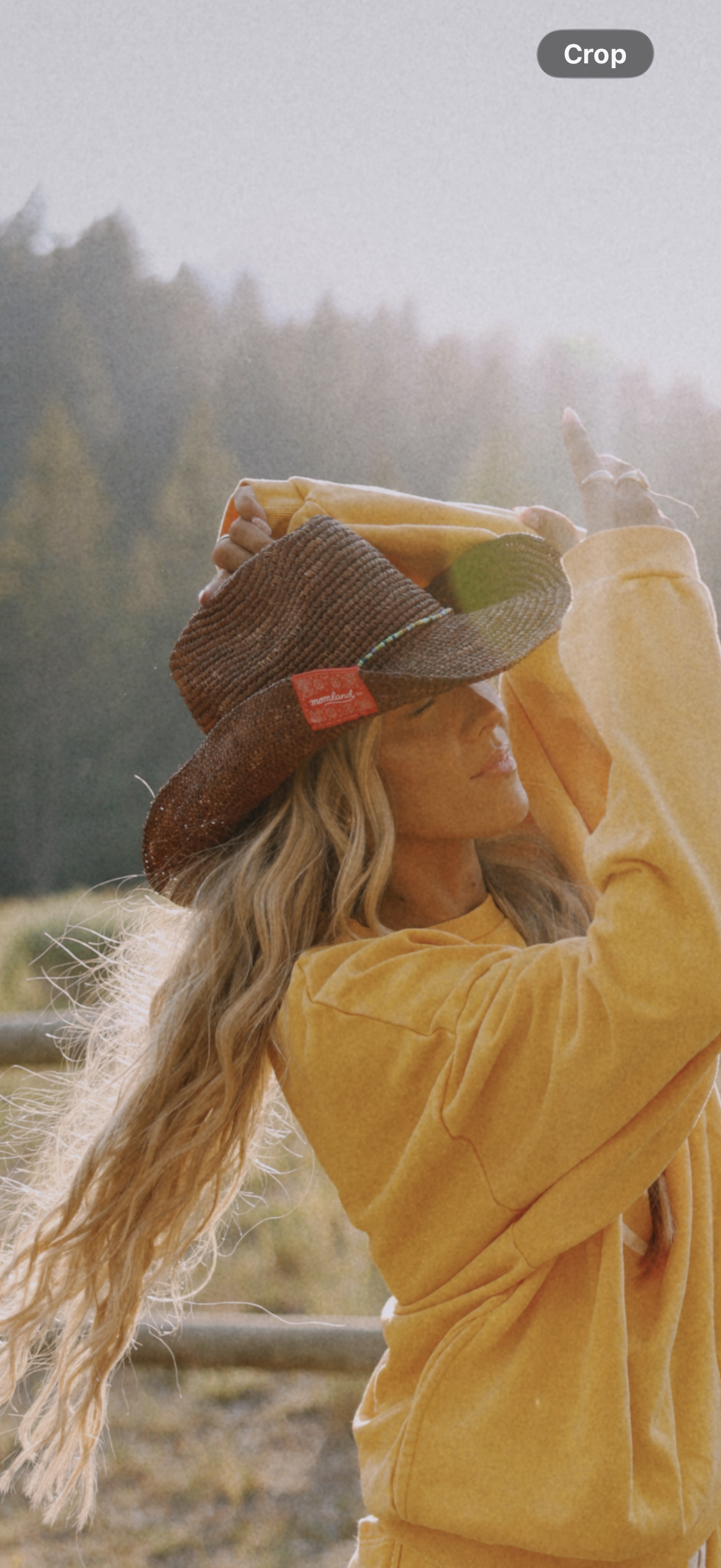 Cowboy Hat in Brown